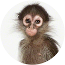 Aleks M profile picture